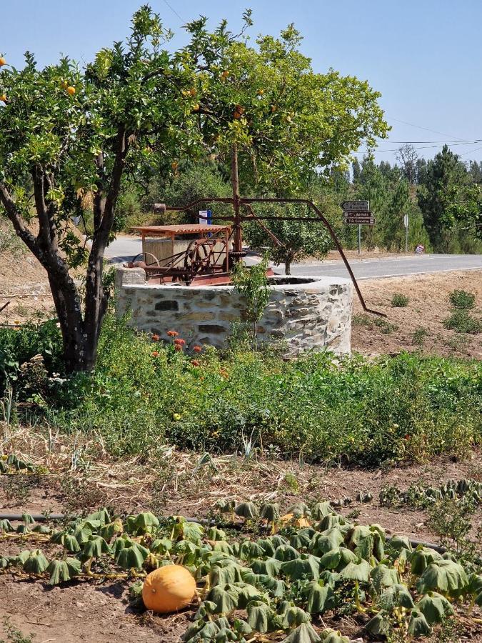 Quinta Penedo Das Antas - Al Sertã Buitenkant foto